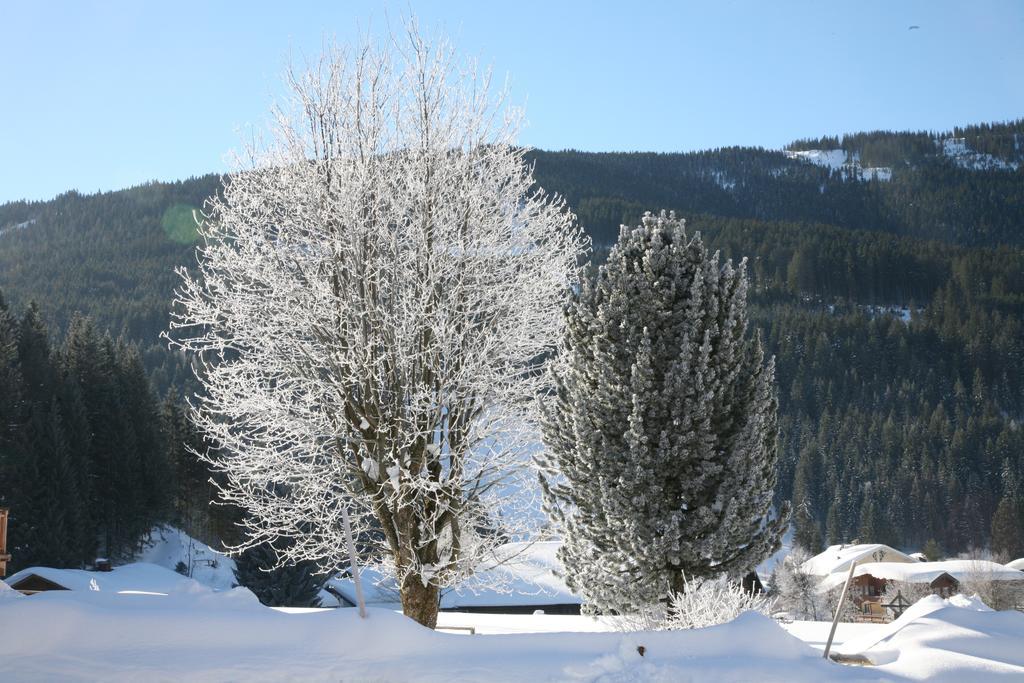 Zur Lieben Sonne Apartment Filzmoos Bilik gambar
